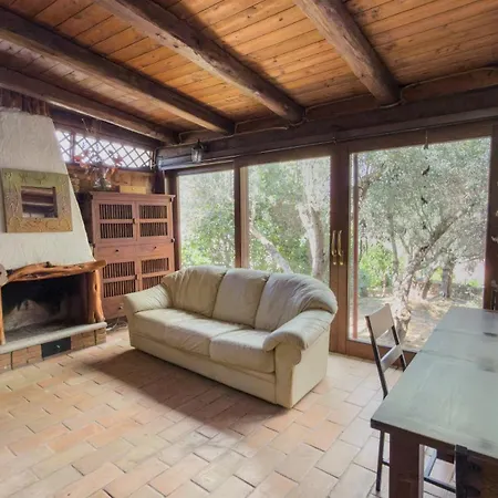Degli Ulivi With Garden Porto San Paolo * Loiri Porto San Paolo